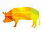 pig